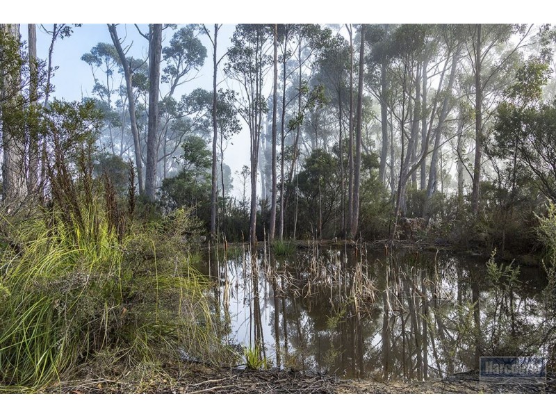 27 White Cliffs Road, Brooks Bay TAS 7116