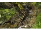 Lot 1 Sky Farm Road, Deep Bay TAS 7112