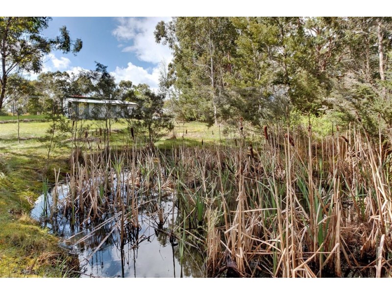 290 Lune River Road, Ida Bay TAS 7109
