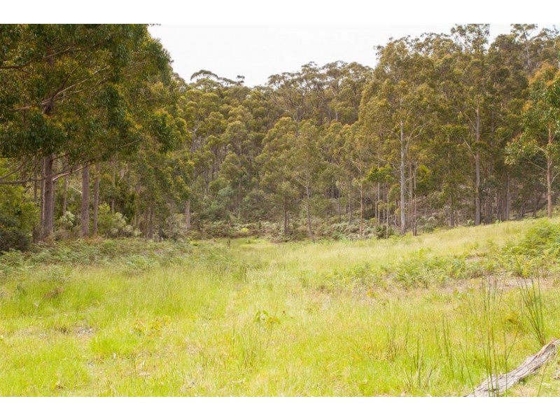 73 Snowy View Heights, Huonville TAS 7109