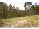 73 Snowy View Heights, Huonville TAS 7109