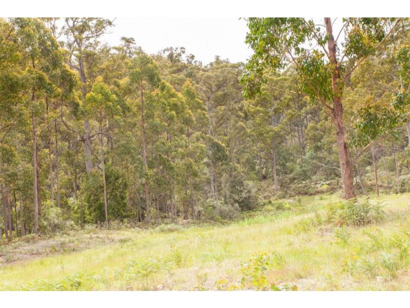73 Snowy View Heights, Huonville TAS 7109