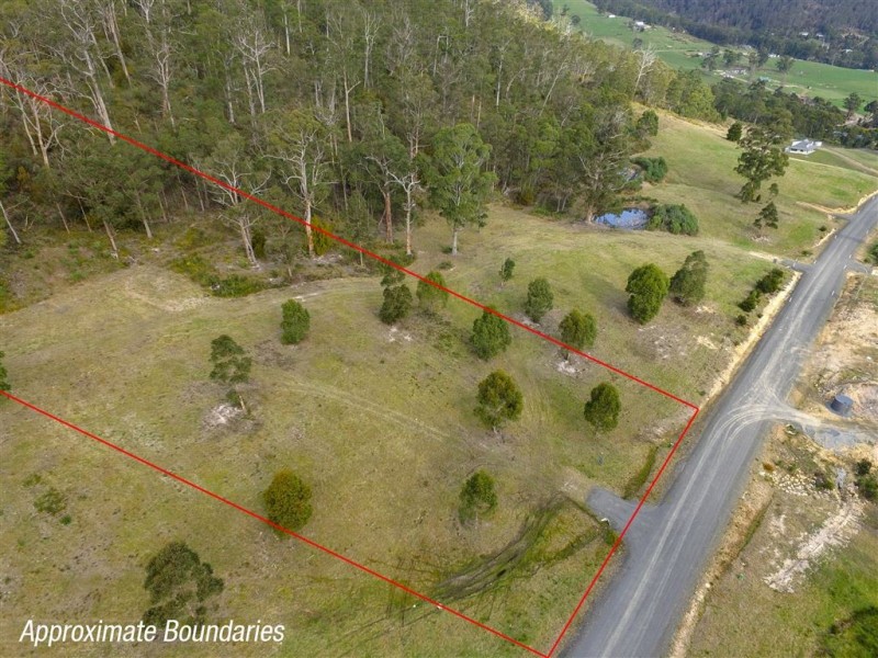 64 Snowy View Heights, Huonville TAS 7109