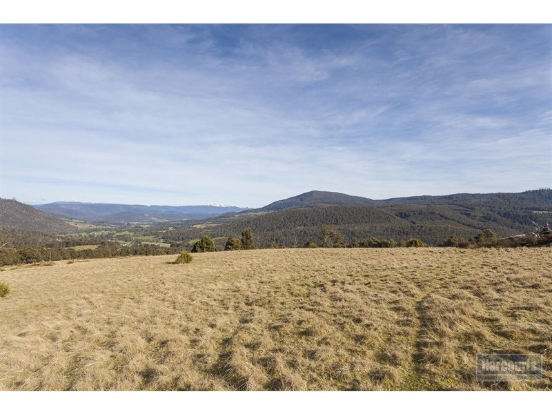 - Boundary Creek Road, Judbury TAS 7109
