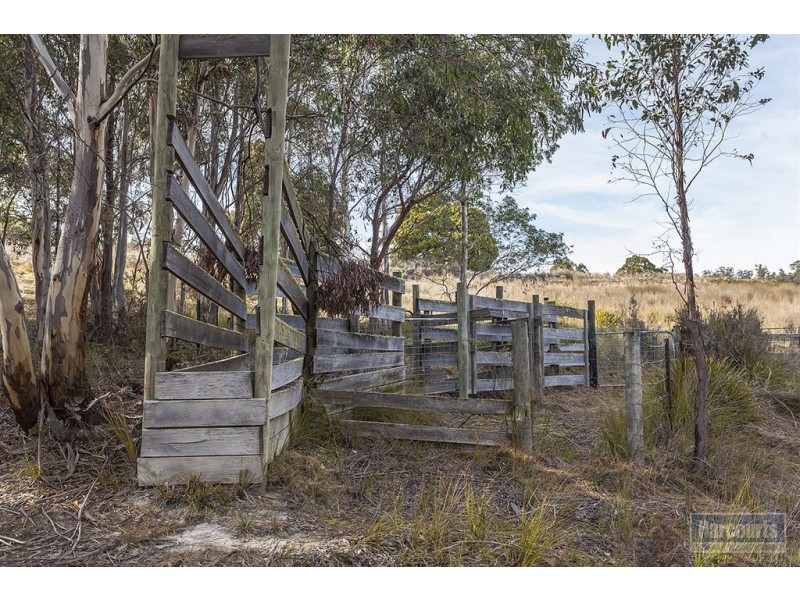 - Boundary Creek Road, Judbury TAS 7109