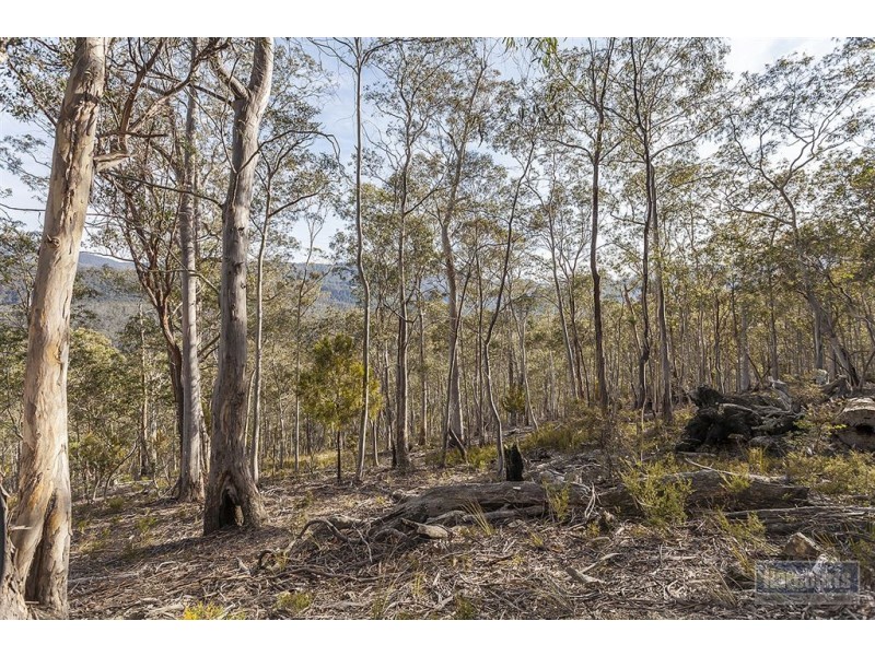 - Boundary Creek Road, Judbury TAS 7109