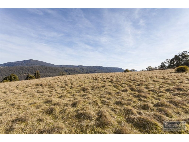 - Boundary Creek Road, Judbury TAS 7109