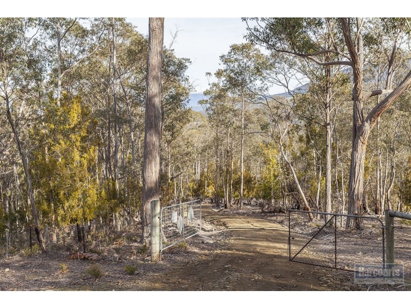 - Boundary Creek Road, Judbury TAS 7109