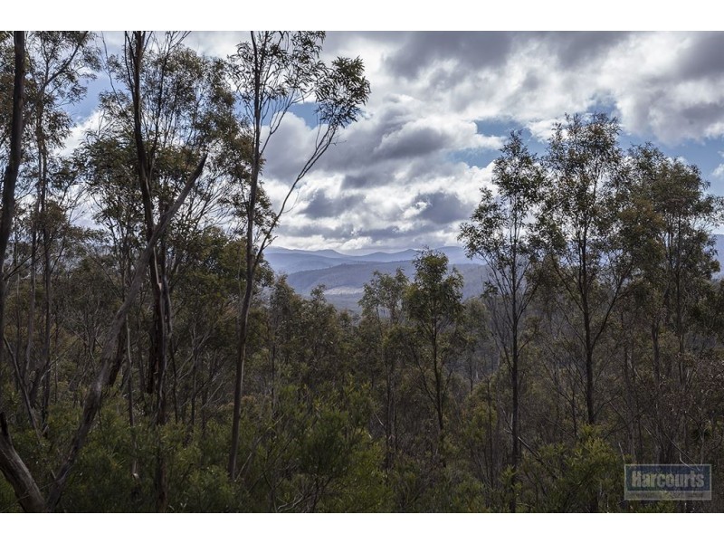 RA She Oak Road, Judbury TAS 7109