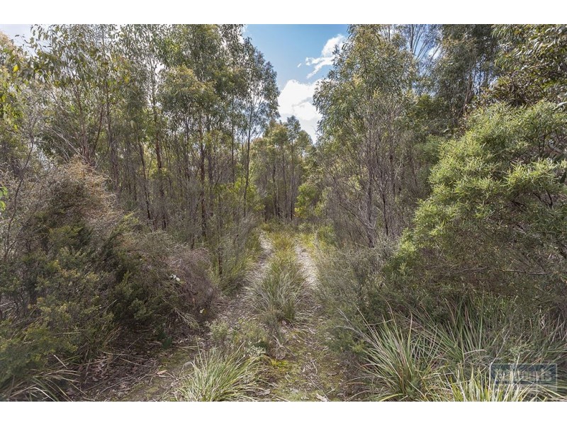 RA She Oak Road, Judbury TAS 7109