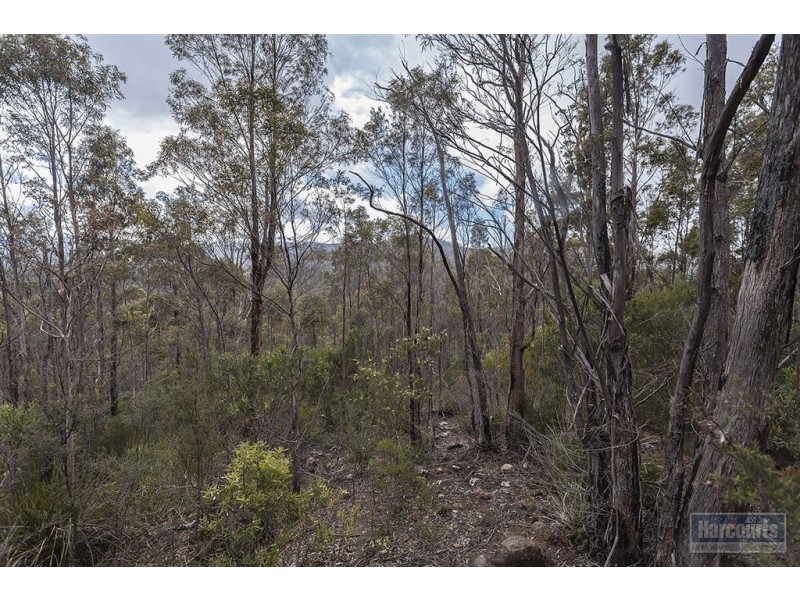 RA She Oak Road, Judbury TAS 7109