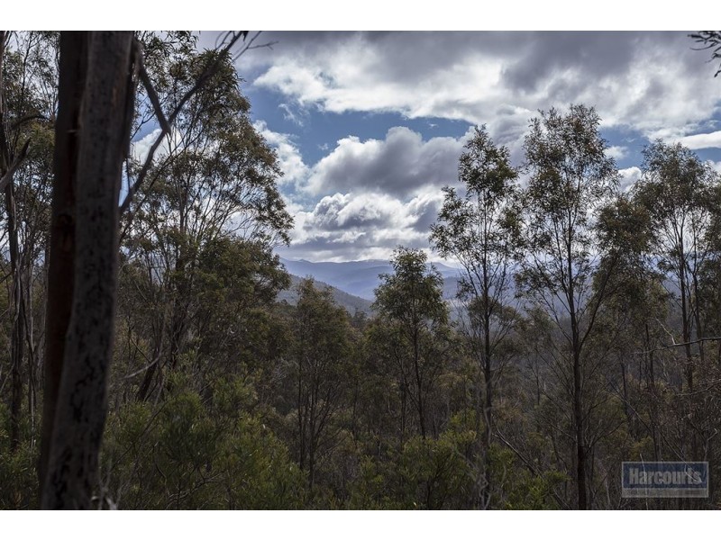 RA She Oak Road, Judbury TAS 7109