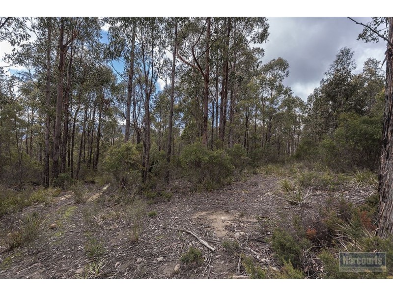 RA She Oak Road, Judbury TAS 7109