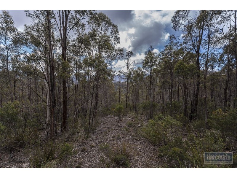 RA She Oak Road, Judbury TAS 7109