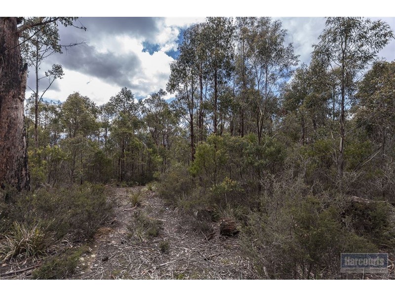 RA She Oak Road, Judbury TAS 7109