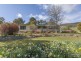 5 Pine Lodge Rd, Glen Huon TAS 7109
