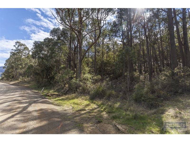Lot 4 North Huon Road, Judbury TAS 7109