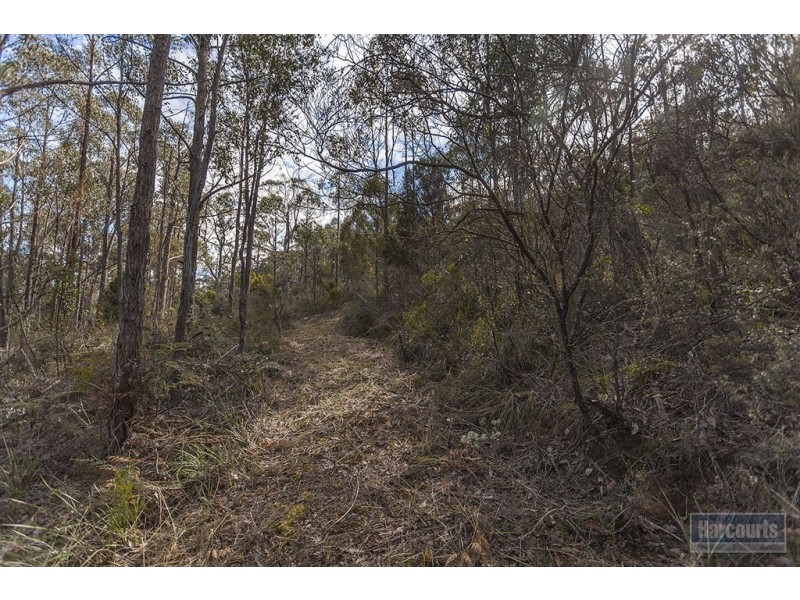 Lot 4 North Huon Road, Judbury TAS 7109