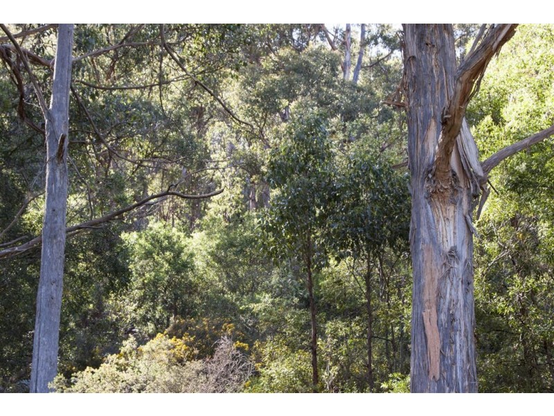 Lot 2 Sunday Hill Road, Petcheys Bay TAS 7109