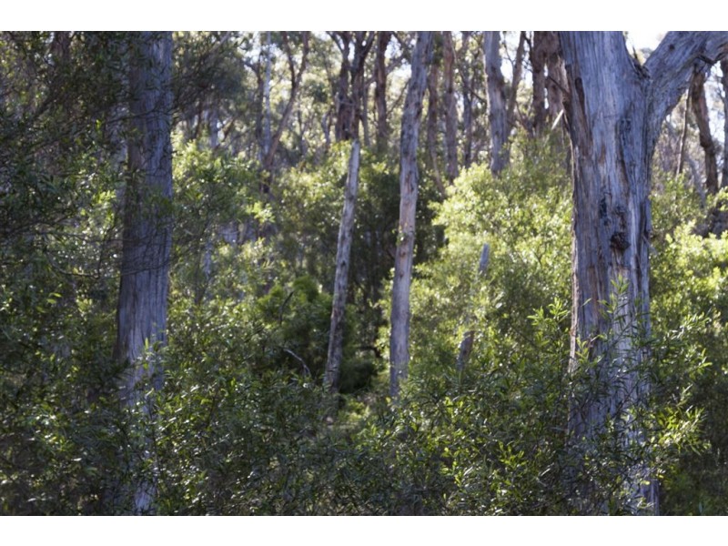 Lot 2 Sunday Hill Road, Petcheys Bay TAS 7109