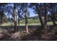 Lot 2 Sunday Hill Road, Petcheys Bay TAS 7109