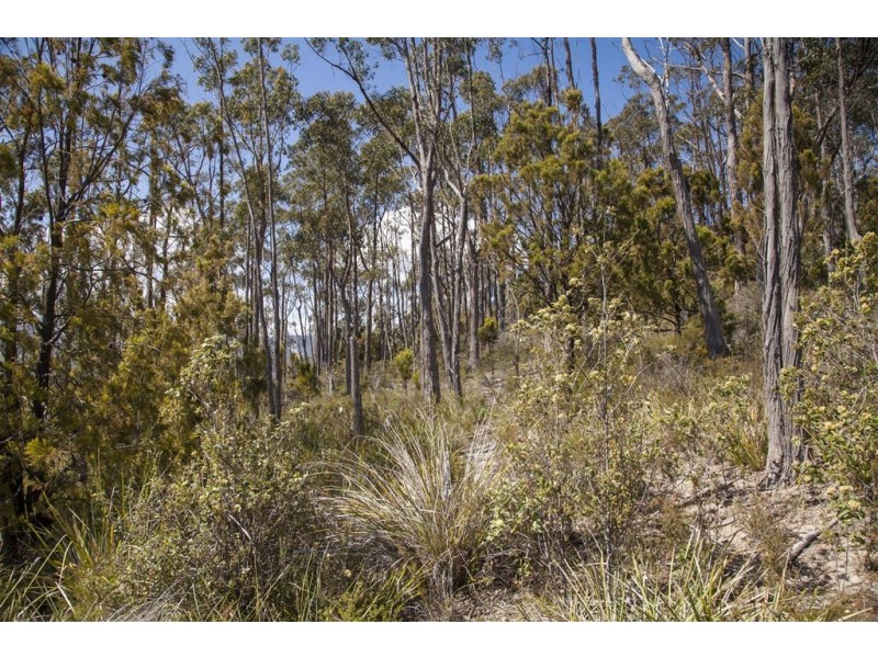 RA Kings Hill Road, Cygnet TAS 7112