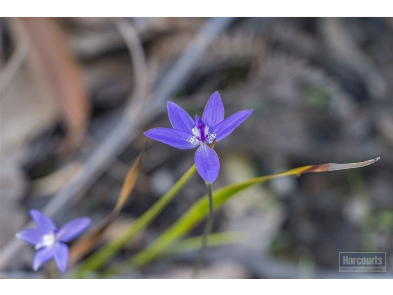 Lot 1 Esperance Coast Road, Brooks Bay TAS 7116