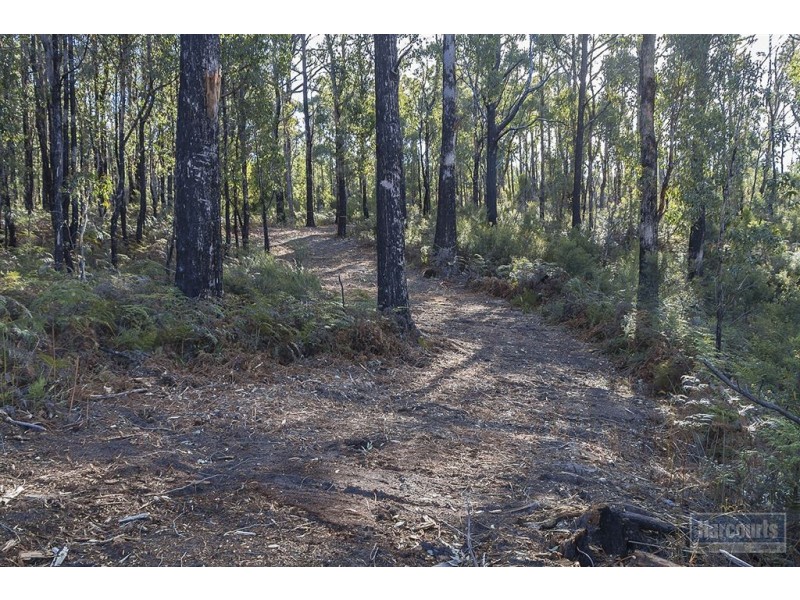 Lot 1 Esperance Coast Road, Brooks Bay TAS 7116