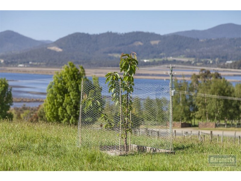 3836 Huon Highway, Franklin TAS 7113