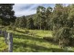 - Crabtree Road, Crabtree TAS 7109