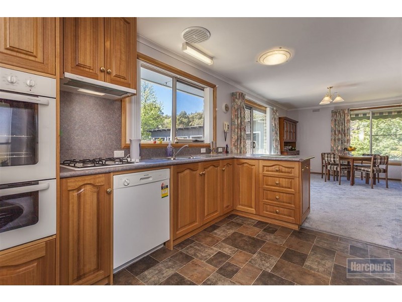 42 Mountain River Road, Grove TAS 7109