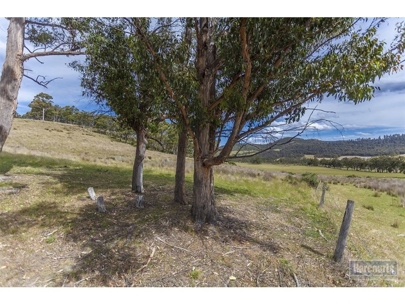 222 Woolleys Road, Lonnavale TAS 7109