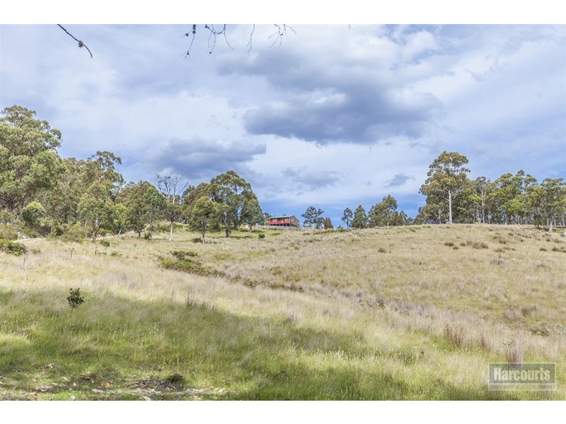 222 Woolleys Road, Lonnavale TAS 7109