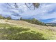 222 Woolleys Road, Lonnavale TAS 7109