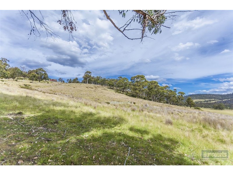 222 Woolleys Road, Lonnavale TAS 7109