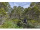 222 Woolleys Road, Lonnavale TAS 7109