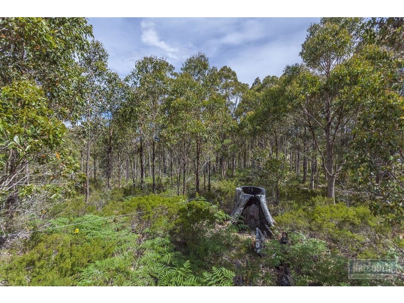 222 Woolleys Road, Lonnavale TAS 7109