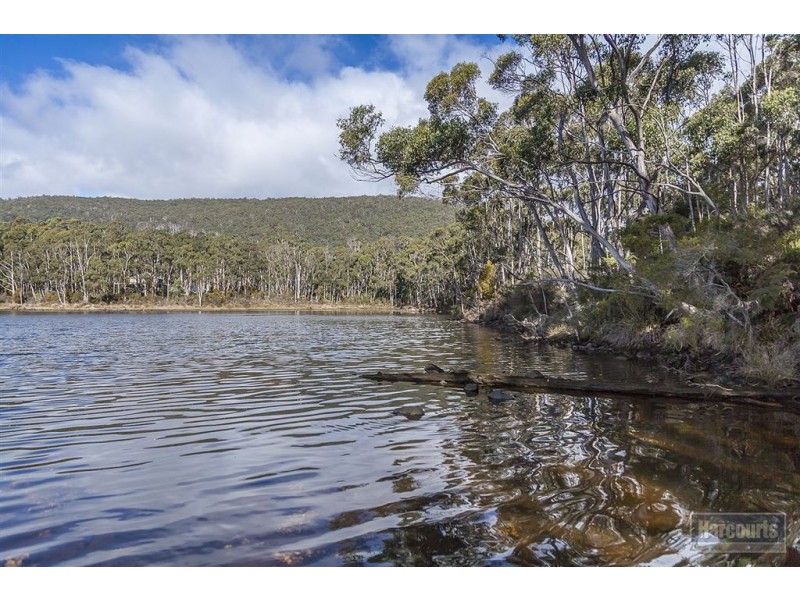 171 Narrows Rd, Strathblane TAS 7109