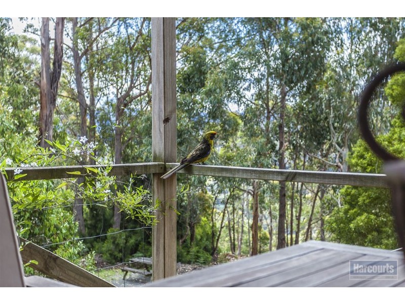 135 Lanes Road, Glen Huon TAS 7109