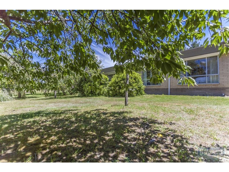 96 Cross Road, Lucaston TAS 7109