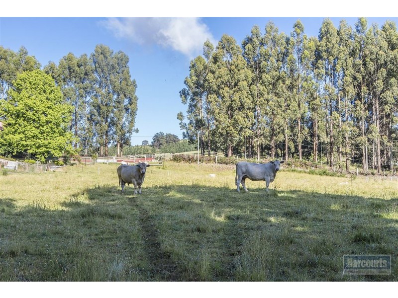 Lot 1&2,63 Arve Road, Geeveston TAS 7116
