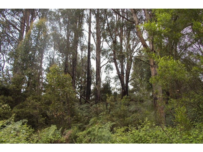 Lot 1&2,63 Arve Road, Geeveston TAS 7116