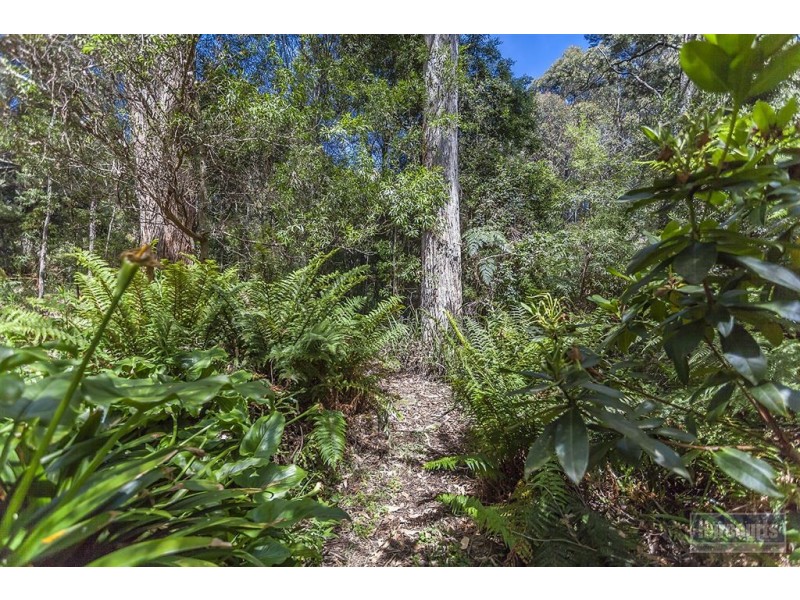 82 Narrows Road, Strathblane TAS 7109