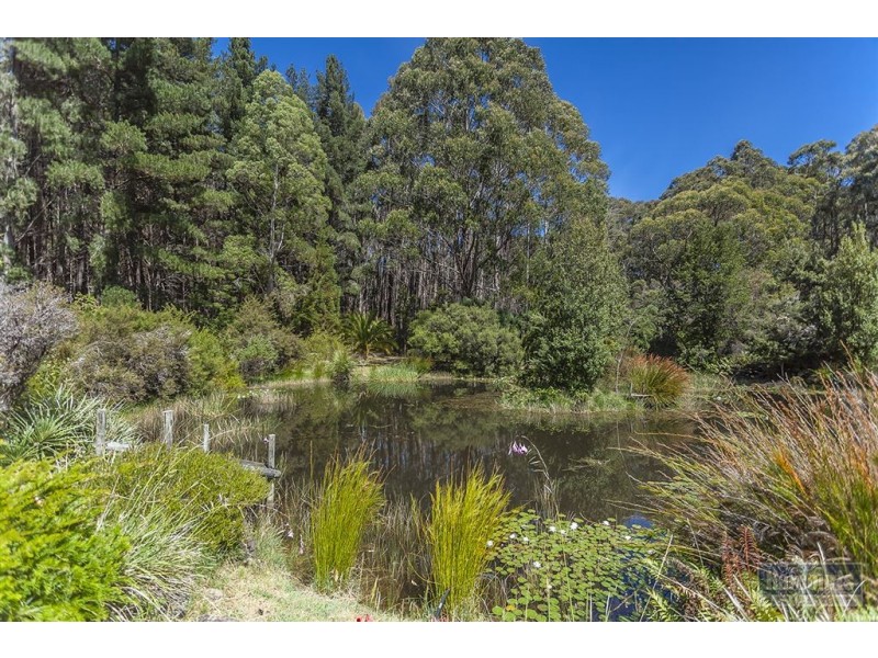 82 Narrows Road, Strathblane TAS 7109