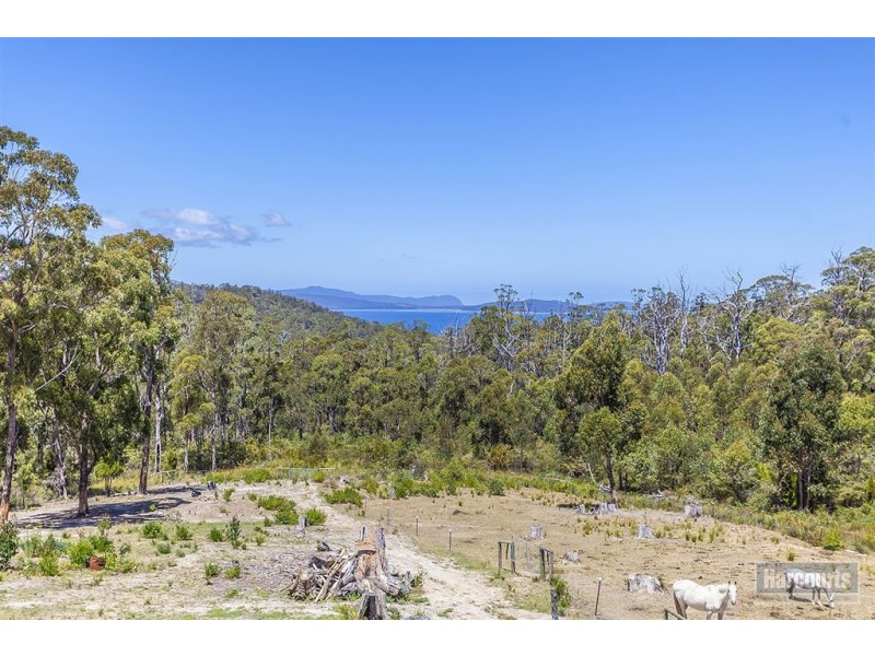 156 Scarrs Road, Garden Island Creek TAS 7112