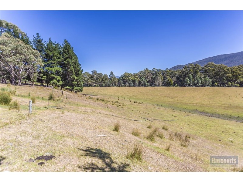 456 She Oak Road, Judbury TAS 7109