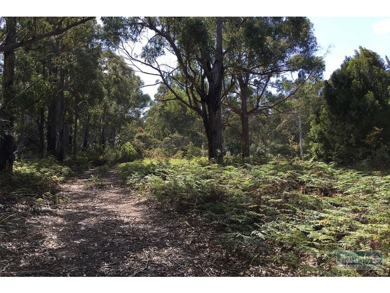 Lot 1 Cygnet Coast Road, Lymington TAS 7109