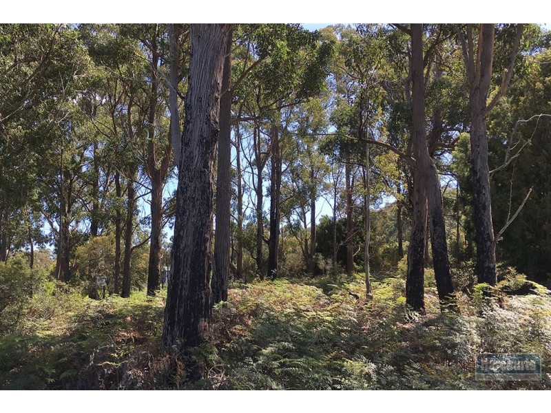 Lot 1 Cygnet Coast Road, Lymington TAS 7109