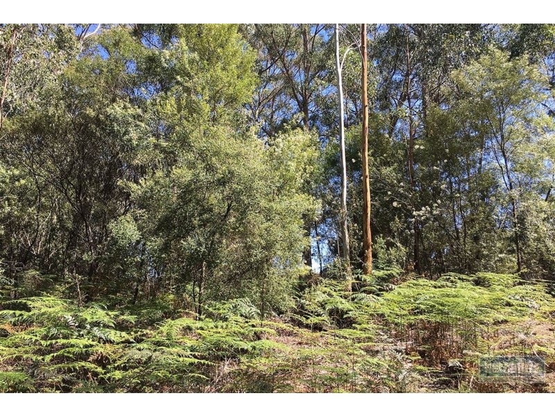 Lot 1 Cygnet Coast Road, Lymington TAS 7109