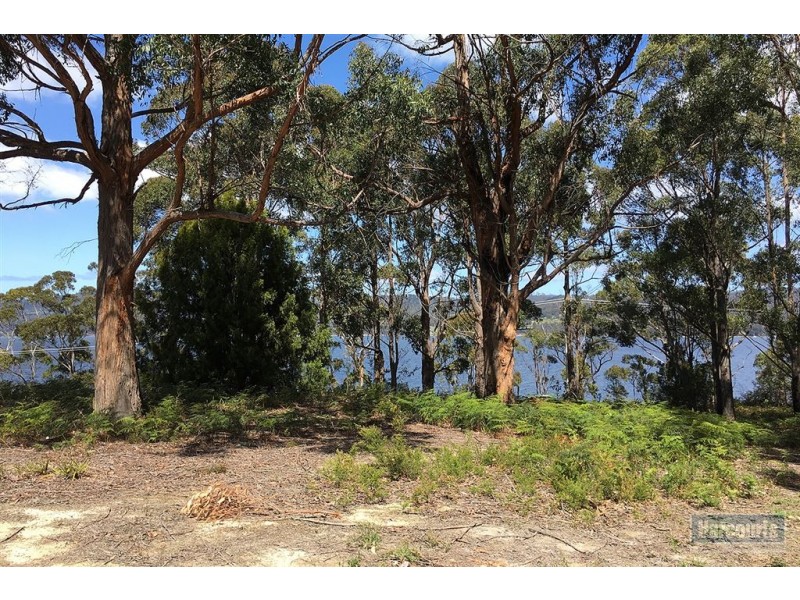 Lot 1 Cygnet Coast Road, Lymington TAS 7109